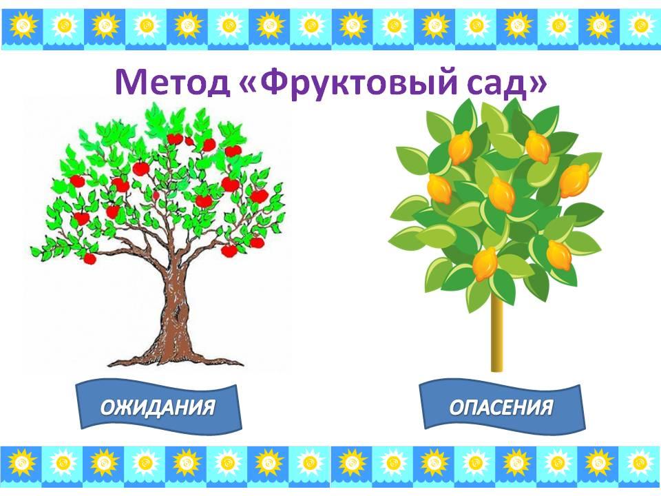 Метод сад. Метод фруктовый сад. Прием фруктовый сад на уроке. Дерево ожиданий и опасений. Метод фруктовый сад в начальной школе.