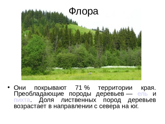 Флора Они покрывают 71 % территории края. Преобладающие породы деревьев — ель и пихта . Доля лиственных пород деревьев возрастает в направлении с севера на юг. 