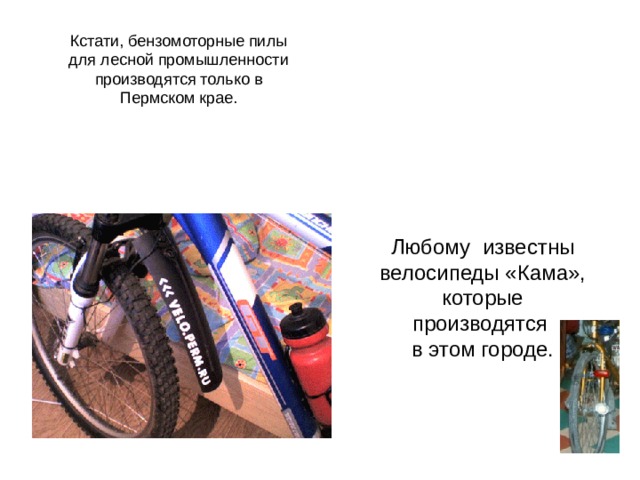 Кстати, бензомоторные пилы для лесной промышленности производятся только в Пермском крае. Любому  известны велосипеды «Кама», которые производятся в этом городе. 