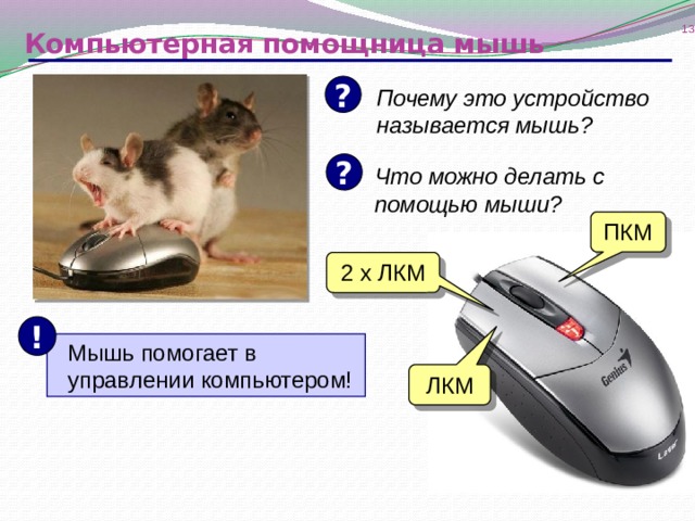  Компьютерная помощница мышь ? Почему это устройство называется мышь? ? Что можно делать с помощью мыши? ПКМ 2 х ЛКМ !   Мышь помогает в управлении компьютером! ЛКМ 