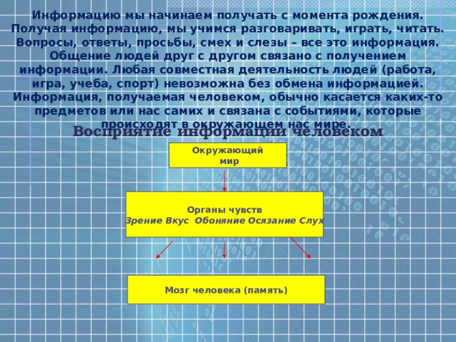 Информацию мы начинаем получать с момента рождения. Получая информацию, мы учимся разговаривать, играть, читать. Вопросы, ответы, просьбы, смех и слезы – все это информация. Общение людей друг с другом связано с получением информации. Любая совместная деятельность людей (работа, игра, учеба, спорт) невозможна без обмена информацией. Информация, получаемая человеком, обычно касается каких-то предметов или нас самих и связана с событиями, которые происходят в окружающем нас мире. Восприятие информации человеком Окружающий  мир Органы чувств Зрение Вкус Обоняние Осязание Слух Мозг человека (память) 