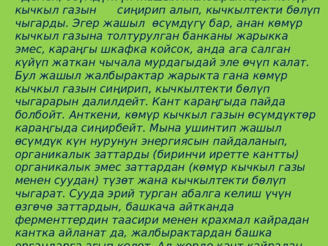 3- тажрыйба  Демек, өсүмдүктүн жашыл жалбырактары көмүр кычкыл газын сиңирип алып, кычкылтекти бөлүп чыгарды. Эгер жашыл өсүмдүгү бар, анан көмүр кычкыл газына толтурулган банканы жарыкка эмес, караңгы шкафка койсок, анда ага салган күйүп жаткан чычала мурдагыдай эле өчүп калат. Бул жашыл жалбырактар жарыкта гана көмүр кычкыл газын сиңирип, кычкылтекти бөлүп чыгарарын далилдейт. Кант караңгыда пайда болбойт. Анткени, көмүр кычкыл газын өсүмдүктөр караңгыда сиңирбейт. Мына ушинтип жашыл өсүмдүк күн нурунун энергиясын пайдаланып, органикалык заттарды (биринчи иретте кантты) органикалык эмес заттардан (көмүр кычкыл газы менен суудан) түзөт жана кычкылтекти бөлүп чыгарат. Сууда эрий турган абалга келиш үчүн өзгөчө заттардын, башкача айтканда ферменттердин таасири менен крахмал кайрадан кантка айланат да, жалбырактардан башка органдарга агып келет. Ал жерде кант кайрадан крахмалга айланат.  