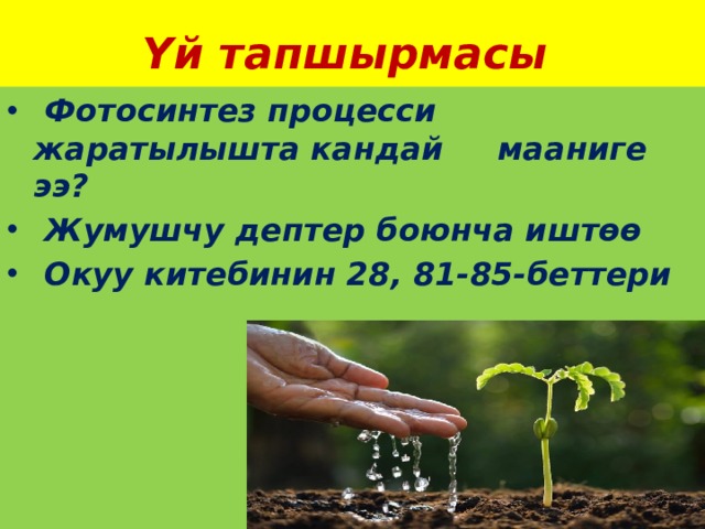 Үй тапшырмасы  Фотосинтез процесси жаратылышта кандай мааниге ээ?  Жумушчу дептер боюнча иштөө  Окуу китебинин 28, 81-85-беттери 
