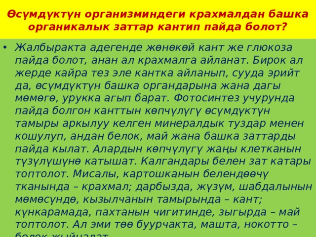 Өсүмдүктүн организминдеги крахмалдан башка органикалык заттар кантип пайда болот? Жалбыракта адегенде жөнөкөй кант же глюкоза пайда болот, анан ал крахмалга айланат. Бирок ал жерде кайра тез эле кантка айланып, сууда эрийт да, өсүмдүктүн башка органдарына жана дагы мөмөгө, урукка агып барат. Фотосинтез учурунда пайда болгон канттын көпчүлүгү өсүмдүктүн тамыры аркылуу келген минералдык туздар менен кошулуп, андан белок, май жана башка заттарды пайда кылат. Алардын көпчүлүгү жаңы клетканын түзүлүшүнө катышат. Калгандары белен зат катары топтолот. Мисалы, картошканын белендөөчү тканында – крахмал; дарбызда, жүзүм, шабдалынын мөмөсүндө, кызылчанын тамырында – кант; күнкарамада, пахтанын чигитинде, зыгырда – май топтолот. Ал эми төө буурчакта, машта, нокотто – белок жыйналат. 