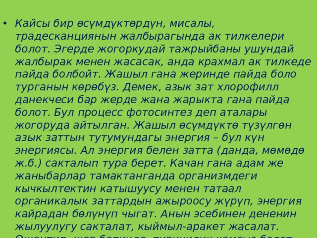  Кайсы бир өсүмдүктөрдүн, мисалы, традесканциянын жалбырагында ак тилкелери болот. Эгерде жогоркудай тажрыйбаны ушундай жалбырак менен жасасак, анда крахмал ак тилкеде пайда болбойт. Жашыл гана жеринде пайда боло турганын көрөбүз. Демек, азык зат хлорофилл данекчеси бар жерде жана жарыкта гана пайда болот. Бул процесс фотосинтез деп аталары жогоруда айтылган. Жашыл өсүмдүктө түзүлгөн азык заттын тутумундагы энергия – бул күн энергиясы. Ал энергия белен затта (данда, мөмөдө ж.б.) сакталып тура берет. Качан гана адам же жаныбарлар тамактанганда организмдеги кычкылтектин катышуусу менен татаал органикалык заттардын ажыроосу жүрүп, энергия кайрадан бөлүнүп чыгат. Анын эсебинен дененин жылуулугу сакталат, кыймыл-аракет жасалат. Ошентип, жер бетинде тиричилик камсыз болот 