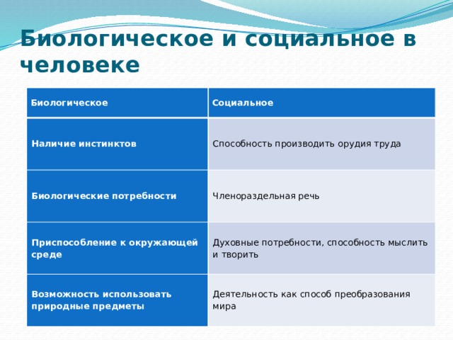 Биологическое и социальное в человеке Биологическое Социальное Наличие инстинктов Способность производить орудия труда Биологические потребности Членораздельная речь Приспособление к окружающей среде Духовные потребности, способность мыслить и творить Возможность использовать природные предметы Деятельность как способ преобразования мира 