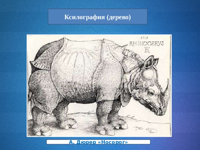 Ксилография (дерево) А. Дюрер «Носорог» 