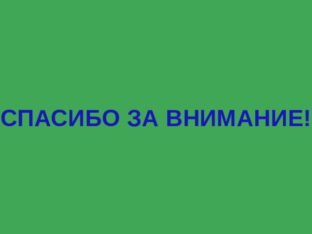 СПАСИБО ЗА ВНИМАНИЕ! 