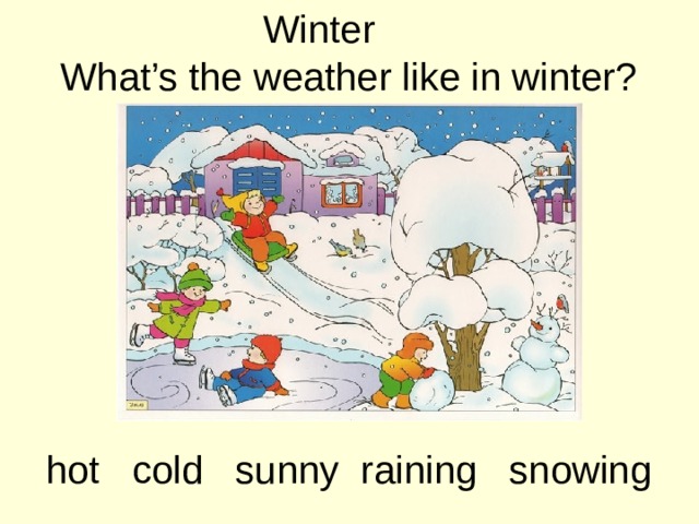 Winter What’s the weather like in winter? hot cold sunny raining snowing 