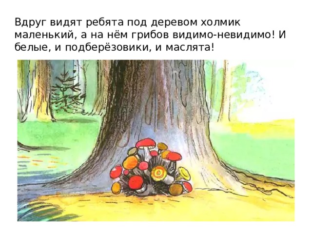 Вдруг видят ребята под деревом холмик маленький, а на нём грибов видимо-невидимо! И белые, и подберёзовики, и маслята! 