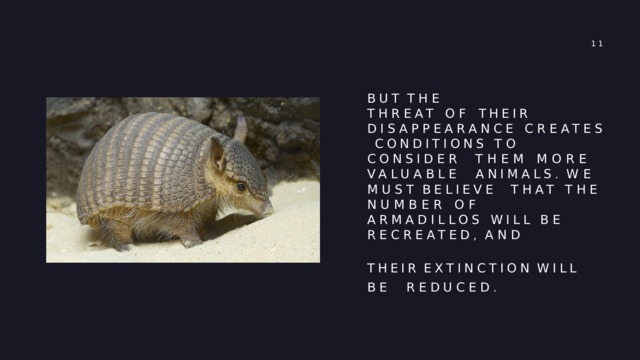 1 1 BUT  THE  THREAT OF THEIR DISAPPEARANCE CREATES CONDITIONS TO CONSIDER THEM MORE VALUABLE ANIMALS .  WE  MUST  BELIEVE THAT THE NUMBER OF ARMADILLOS WILL BE RECREATED ,  AND THEIR  EXTINCTION  WILL  BE REDUCED . 