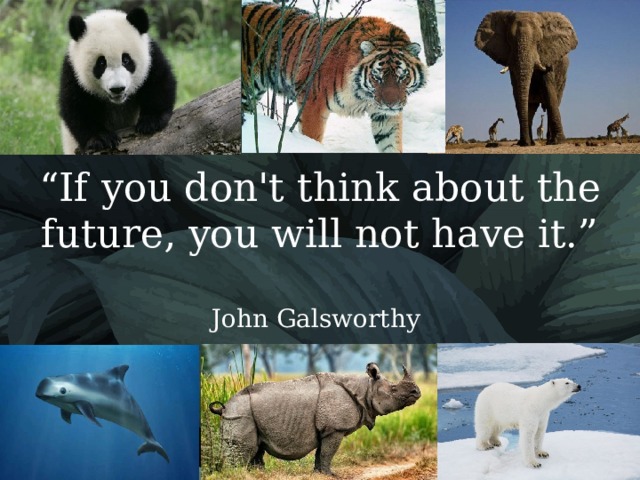 “ If you don't think about the future, you will not have it.”   John Galsworthy