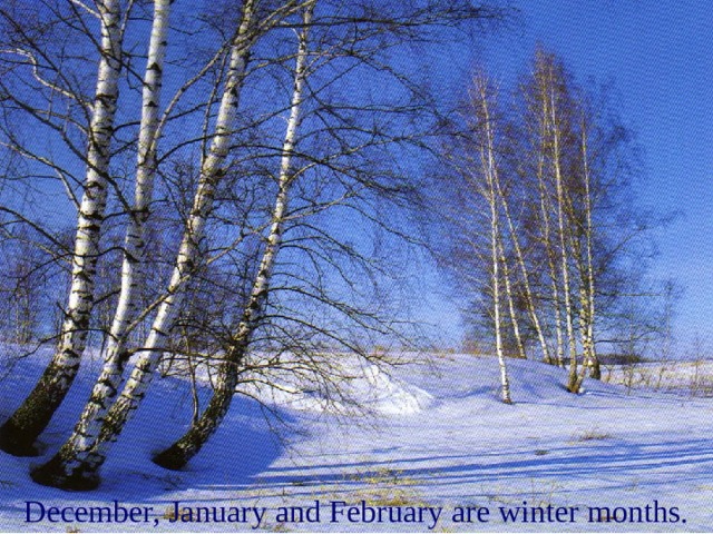 December, January and February are winter months. 