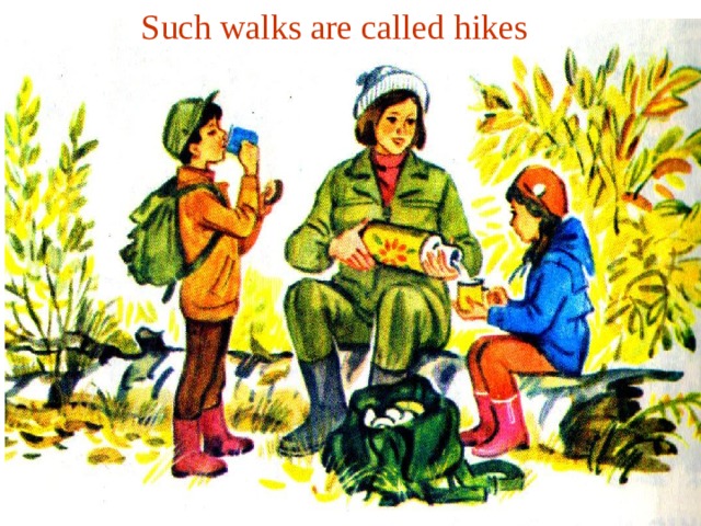 Such walks are called hikes 