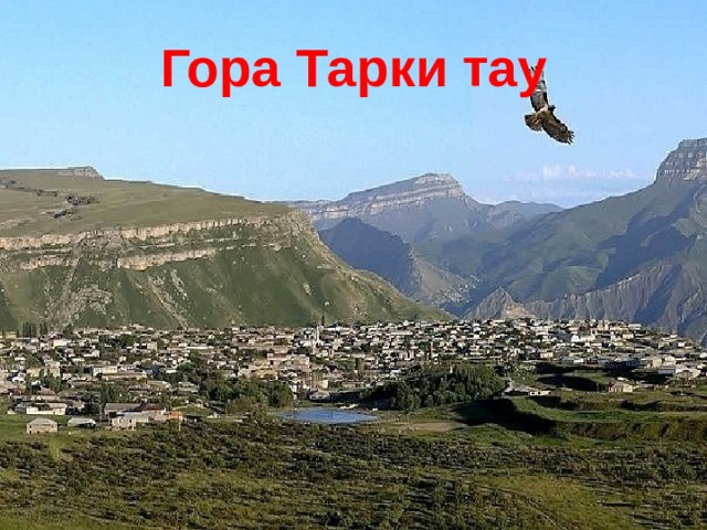  Гора Тарки тау   