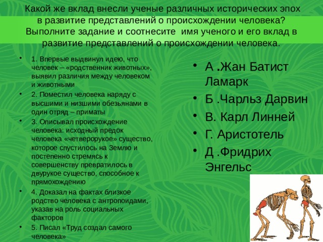  Какой же вклад внесли ученые различных исторических эпох в развитие представлений о происхождении человека? Выполните задание и соотнесите имя ученого и его вклад в развитие представлений о происхождении человека. 1. Впервые выдвинул идею, что человек – «родственник животных», выявил различия между человеком и животными 2. Поместил человека наряду с высшими и низшими обезьянами в один отряд – приматы 3. Описывал происхождение человека: исходный предок человека «четверорукое» существо, которое спустилось на Землю и постепенно стремясь к совершенству превратилось в двурукое существо, способное к прямохождению 4. Доказал на фактах близкое родство человека с антропоидами, указав на роль социальных факторов 5. Писал «Труд создал самого человека» А . Жан Батист Ламарк Б .Чарльз Дарвин В. Карл Линней Г. Аристотель Д .Фридрих Энгельс 