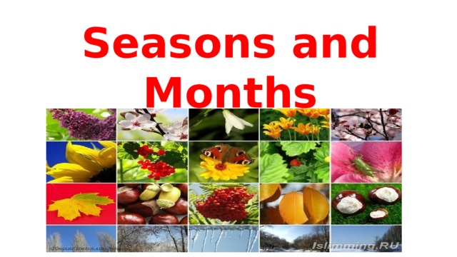 Seasons and Months 