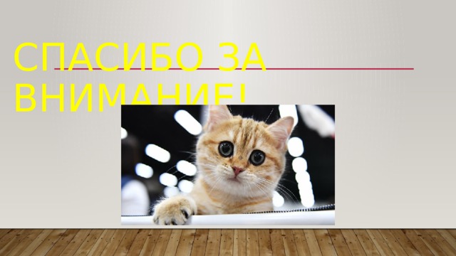 Спасибо за внимание! 