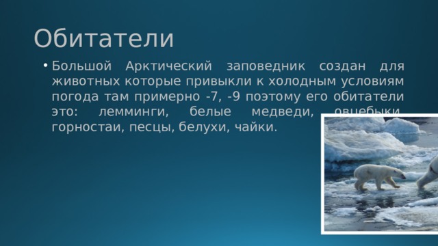 Большой арктический заповедник презентация 2 класс