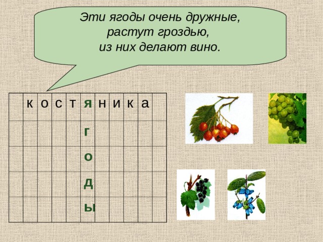 Рассмотри рисунки вспомни названия ягод отгадай кроссворд и ответь на вопросы