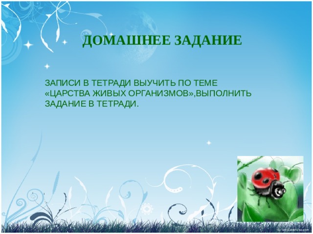 ДОМАШНЕЕ ЗАДАНИЕ ЗАПИСИ В ТЕТРАДИ ВЫУЧИТЬ ПО ТЕМЕ «ЦАРСТВА ЖИВЫХ ОРГАНИЗМОВ»,ВЫПОЛНИТЬ ЗАДАНИЕ В ТЕТРАДИ. 