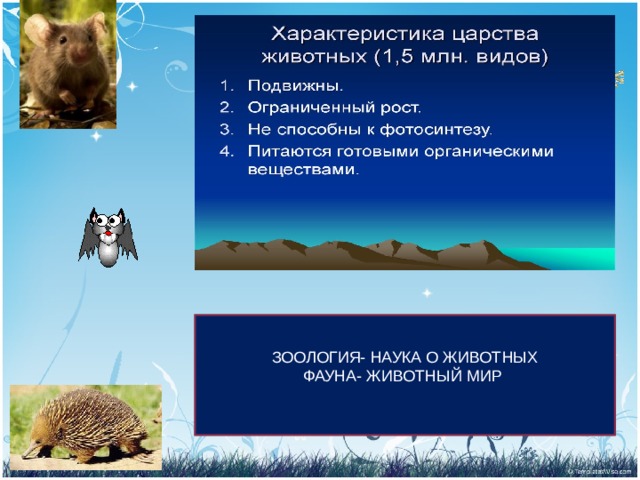 ЗООЛОГИЯ- НАУКА О ЖИВОТНЫХ ФАУНА- ЖИВОТНЫЙ МИР 