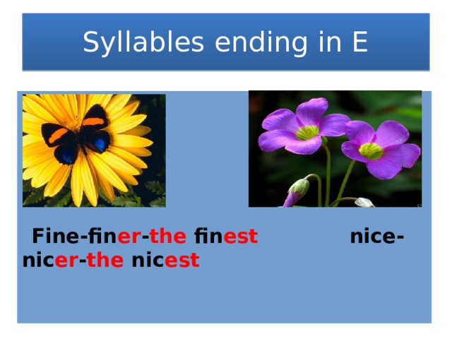 Syllables ending in E  Fine-fin er - the fin est nice-nic er - the nic est  