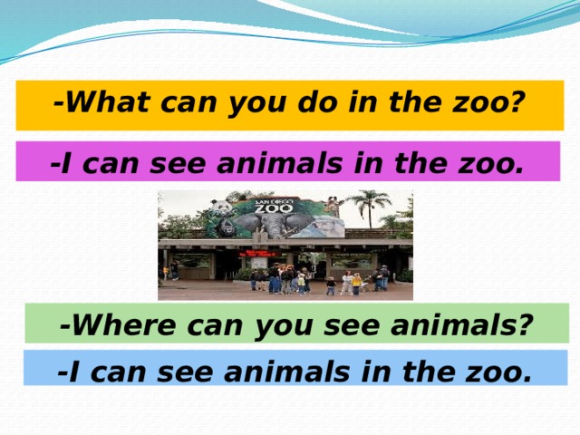 -What can you do in the zoo? -I can see animals in the zoo. -Where can you see animals? -I can see animals in the zoo. 