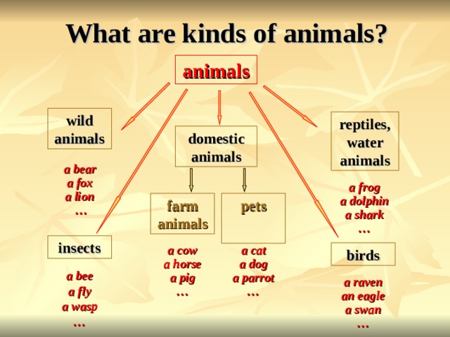 What are kinds of animals? animals wild animals reptiles,water animals domestic animals a bear a fox a lion …  a frog a dolphin a shark … farm animals pets  insects a cow a horse a pig …  a cat a dog a parrot …  birds a bee a fly a wasp … a raven an eagle a swan …  