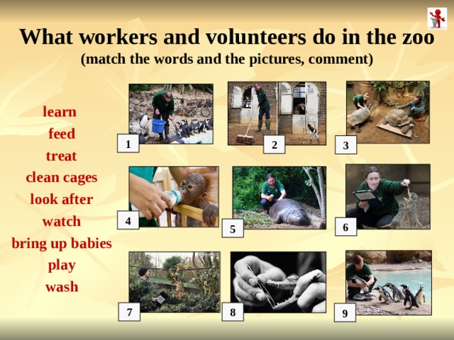 What workers and volunteers do in the zoo (match the words and the pictures, comment) learn feed treat clean cages look after watch bring up babies play wash  1 2 3 4 6 5 8 7 9 