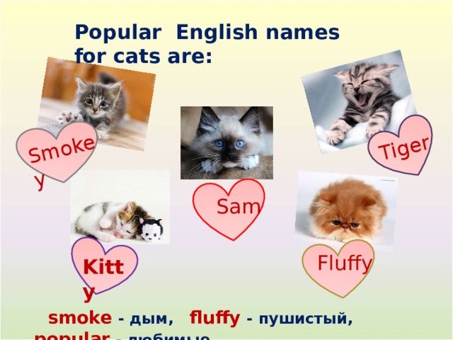 д Smokey Tiger Popular English names for cats are:  Sam Fluffy Kitty  smoke - дым, fluffy - пушистый, popular - любимые 