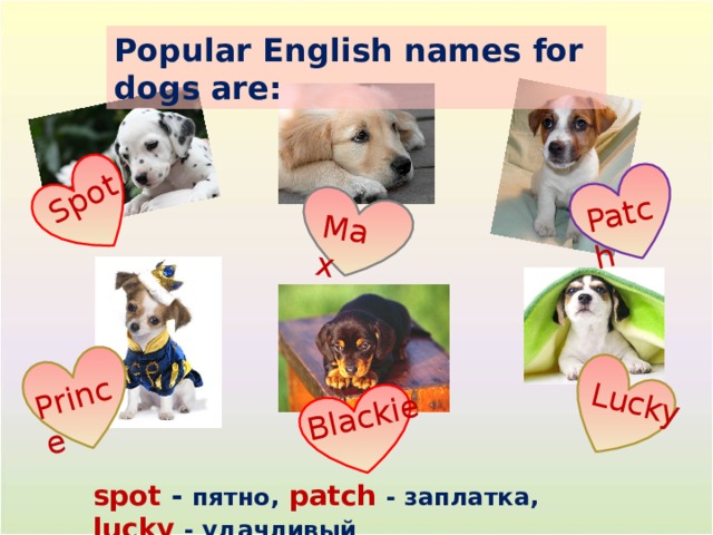 3/28/21 Blackie Max Prince Patch Spot Lucky Popular English names for dogs are: spot - пятно,  patch - заплатка,  lucky - удачливый Скорова Надежда Константиновна 