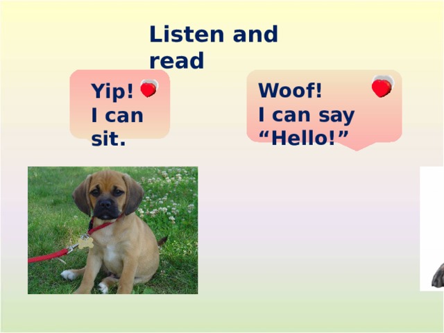 Listen and read Woof! I can say “Hello!” Yip! I can sit. 