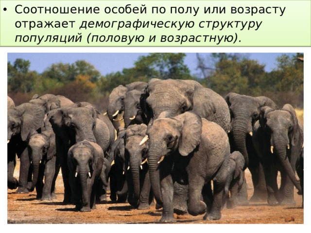 Соотношение особей по полу или возрасту отражает демографическую структуру популяций (половую и возрастную). 