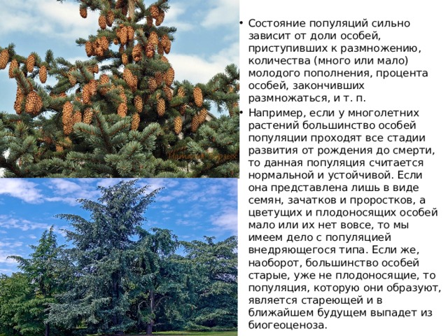 Состояние популяций сильно зависит от доли особей, приступивших к размножению, количества (много или мало) молодого пополнения, процента особей, закончивших размножаться, и т. п. Например, если у многолетних растений большинство особей популяции проходят все стадии развития от рождения до смерти, то данная популяция считается нормальной и устойчивой. Если она представлена лишь в виде семян, зачатков и проростков, а цветущих и плодоносящих особей мало или их нет вовсе, то мы имеем дело с популяцией внедряющегося типа. Если же, наоборот, большинство особей старые, уже не плодоносящие, то популяция, которую они образуют, является стареющей и в ближайшем будущем выпадет из биогеоценоза. 