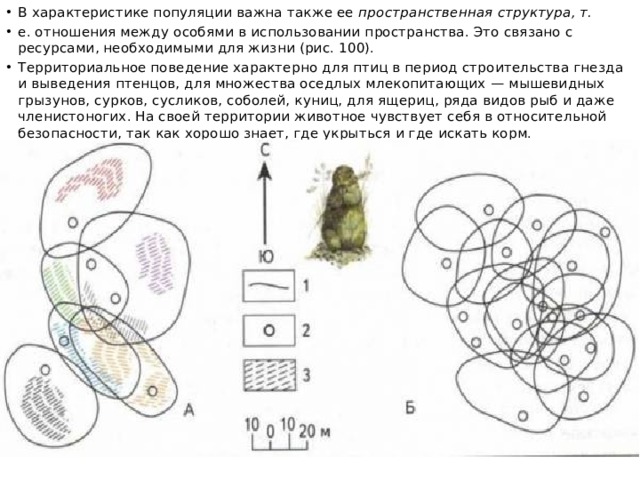 В характеристике популяции важна также ее пространственная структура, т. е. отношения между особями в использовании пространства. Это связано с ресурсами, необходимыми для жизни (рис. 100). Территориальное поведение характерно для птиц в период строительства гнезда и выведения птенцов, для множества оседлых млекопитающих — мышевидных грызунов, сурков, сусликов, соболей, куниц, для ящериц, ряда видов рыб и даже членистоногих. На своей территории животное чувствует себя в относительной безопасности, так как хорошо знает, где укрыться и где искать корм. 