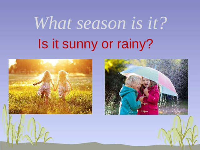 What season is it? Is it sunny or rainy? 