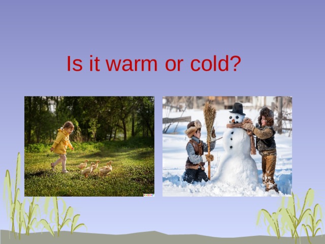 Is it warm or cold? 