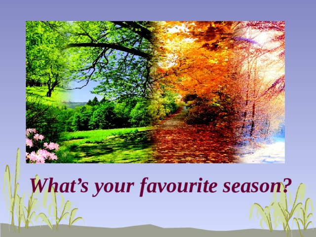 What’s your favourite season? 