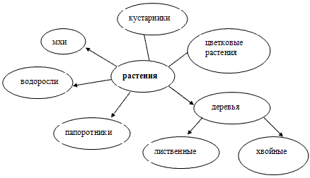 Схема что дают человеку. Кластер растения. Кластер по теме растения. Кластер человек и растения. Кластер на тему цветы.