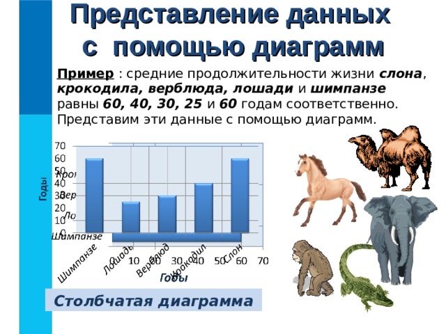 Представление данных  с помощью диаграмм Пример : средние продолжительности жизни слона , крокодила, верблюда, лошади и шимпанзе равны 60, 40, 30, 25 и 60 годам соответственно. Представим эти данные с помощью диаграмм. Линейная диаграмма Столбчатая диаграмма