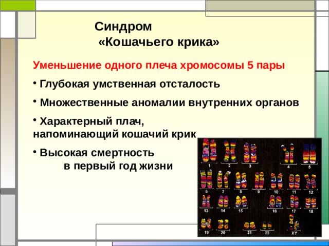 Синдром «Кошачьего крика» Уменьшение одного плеча хромосомы 5 пары  Глубокая умственная отсталость  Множественные аномалии внутренних органов  Характерный плач, напоминающий кошачий крик  Высокая смертность в первый год жизни 