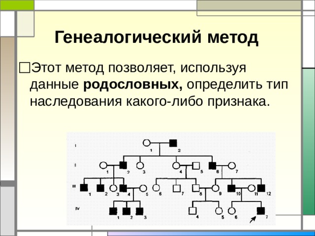 Генеалогический метод Этот метод позволяет, используя данные родословных, определить тип наследования какого-либо признака. 