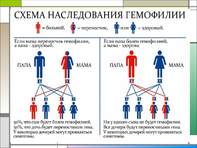  Этим методом выявлены: вредные последствия близкородственных браков, (проявляются при гомозиготности по рецессивному аллелю)  В родственных браках увеличивается вероятность рождения детей с наследственными болезнями и ранняя детская смертность 