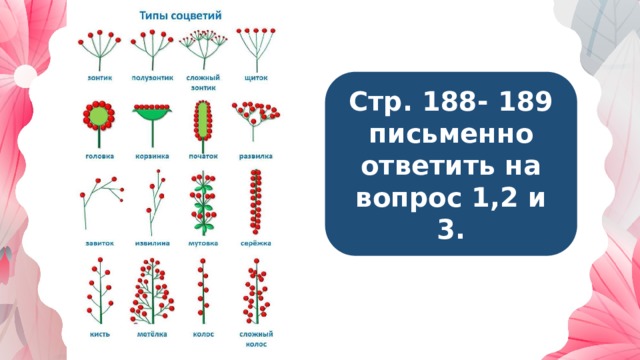 Стр. 188- 189 письменно ответить на вопрос 1,2 и 3. 