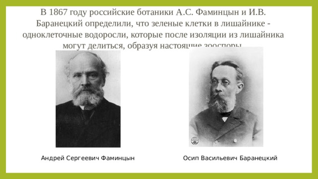 В 1867 году российские ботаники А.С. Фаминцын и И.В. Баранецкий определили, что зеленые клетки в лишайнике - одноклеточные водоросли, которые после изоляции из лишайника могут делиться, образуя настоящие зооспоры. Андрей Сергеевич Фаминцын Осип Васильевич Баранецкий 