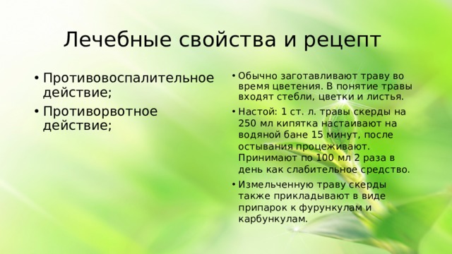 Лечебные свойства и рецепт Противовоспалительное действие; Противорвотное действие; Обычно заготавливают траву во время цветения. В понятие травы входят стебли, цветки и листья. Настой: 1 ст. л. травы скерды на 250 мл кипятка настаивают на водяной бане 15 минут, после остывания процеживают. Принимают по 100 мл 2 раза в день как слабительное средство. Измельченную траву скерды также прикладывают в виде припарок к фурункулам и карбункулам.