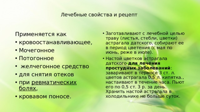 Лечебные свойства и рецепт Применяется как Заготавливают с лечебной целью траву (листья, стебли, цветки) астрагала датского, собирают ее в период цветения (с мая по июнь, реже в июле). Настой цветков астрагала датского для лечения простудных заболеваний : заваривают в термосе 3 ст. л. цветов астрагала 0,5 л. кипятка., настаивают в течение часа. Пьют его по 0,5 ст. 3 р. за день. Хранить настой астрагала в холодильнике не больше суток. кровоостанавливающее, Мочегонное Потогонное желчегонное средство для снятия отеков при ревматических болях , кровавом поносе.