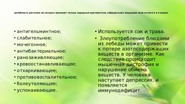 целебность растения на сегодня признают только народные врачеватели, официальная медицина пока остается в стороне. антигельминтное; слабительное; мочегонное; антибактериальное; ранозаживляющее; кровоостанавливающее; отхаркивающее; противовоспалительное; болеутоляющее; успокаивающее. Используется сок и трава. Злоупотребление блюдами из лебеды может привести к потере азотосодержащих веществ в организме. Как следствие происходит мышечная дистрофия и нарушение обмена веществ. У человека наступает депрессия, и появляется иммунодефицит.
