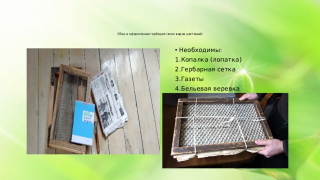 Сбор и оформление гербария (всех видов растений) Необходимы: Копалка (лопатка) Гербарная сетка Газеты Бельевая веревка